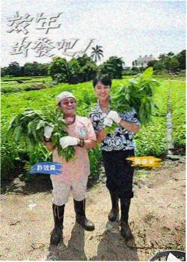 户外真人秀回声旅行团封面